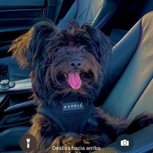 Meet your Posher, Leidy